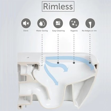 China BTW Rimless WC