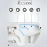 China BTW Rimless WC China BTW Rimless WC