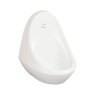 Range of 3 China Bowl Urinals Range of 3 China Bowl Urinals